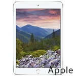 Ремонт Apple iPad mini 3 в Симферополе