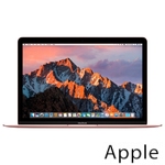 Ремонт Apple MacBook Mid в Симферополе