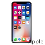 Ремонт iPhone X(10) в Симферополе